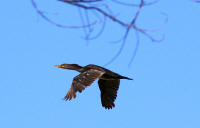 IMGP3767.JPG (594377 bytes)